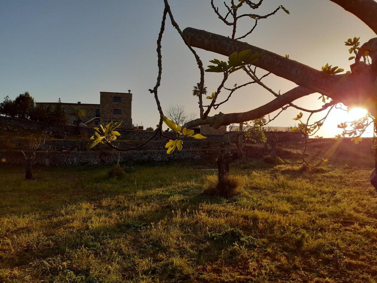 Agroturismo Ses Illes Casa de hóspedes Costitx  Exterior foto